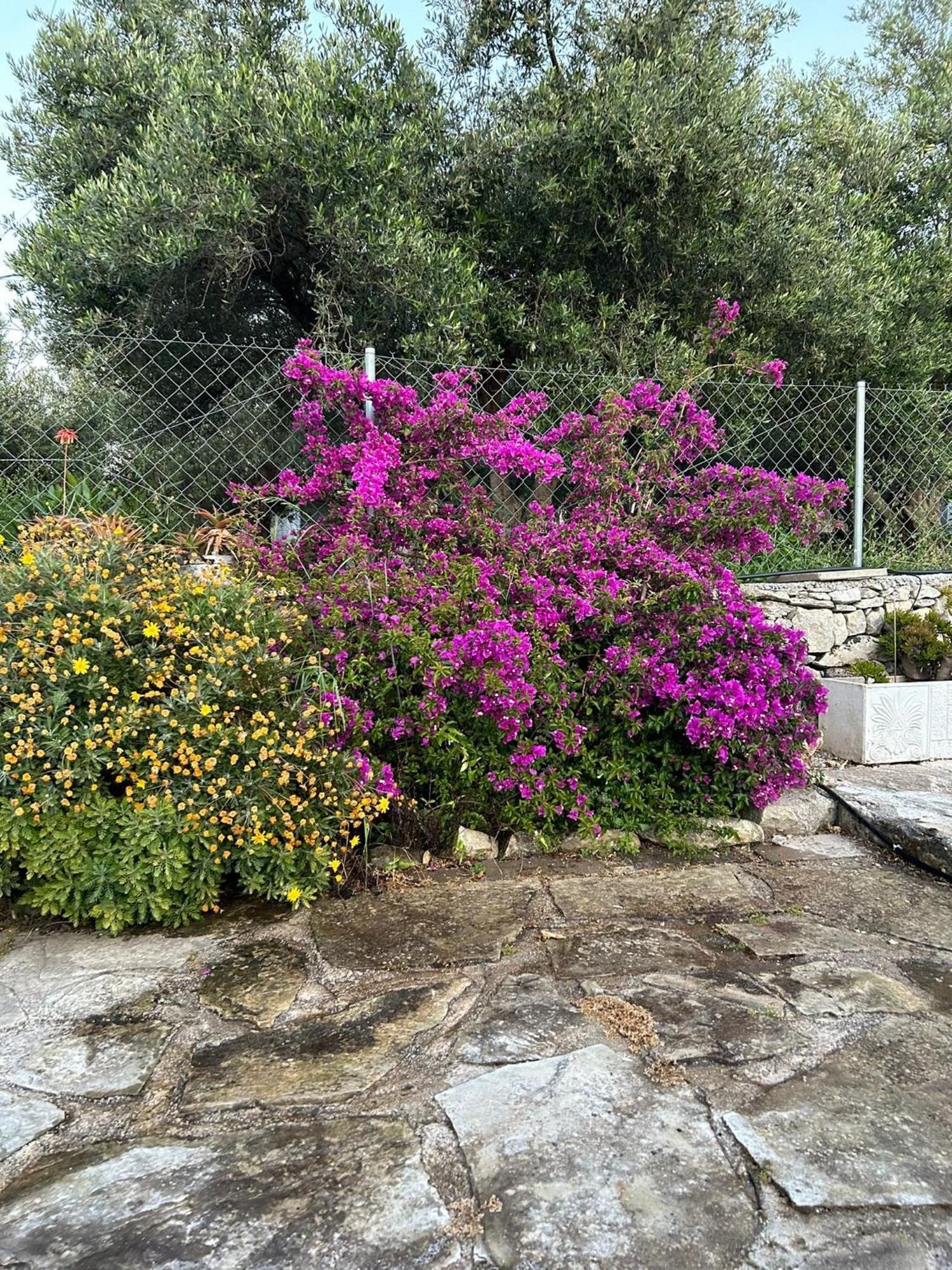 Old Stone Villa In Apokoronas Villa Nostalgia Kreta Fíliposz Kültér fotó